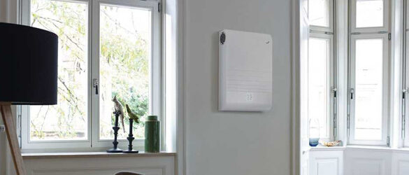 Hoeveel tanden heeft een mens? Ontdek alles over jouw gebit! - Odeso